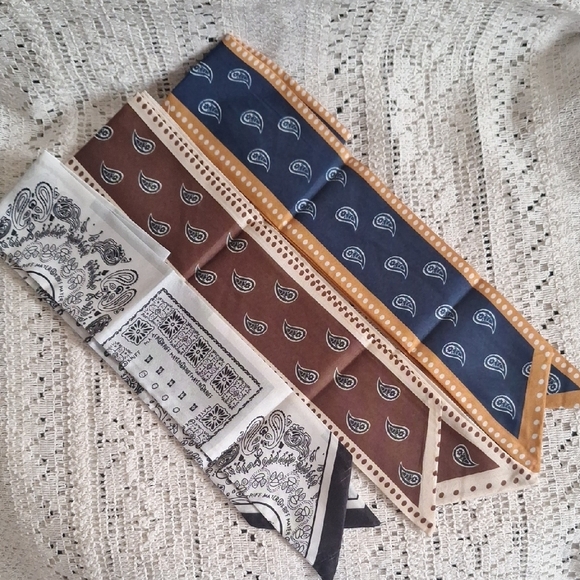 Paisley Patterned Bandana Set - Picture 2 of 8
